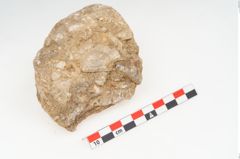 Foto von Stein (NHMW-PRAE-003434e)